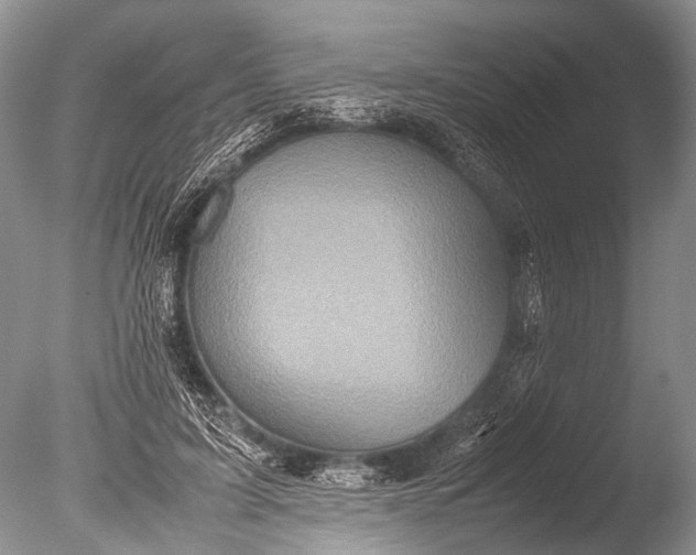 X0000085810595200703301527