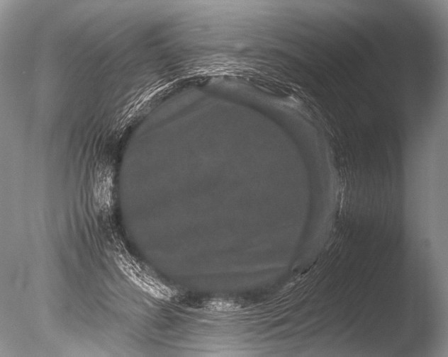 X0000085810596200703301527