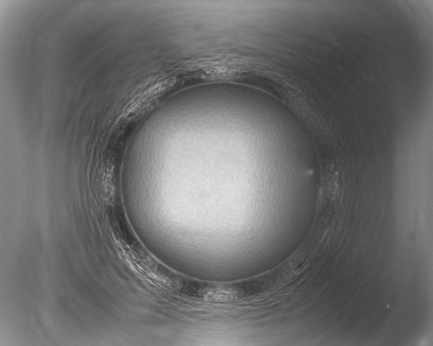 X0000085810599200703301527