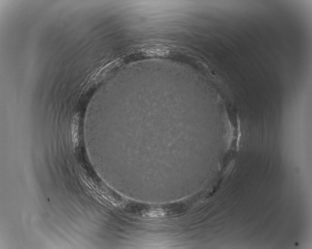 X0000085810600200703301527