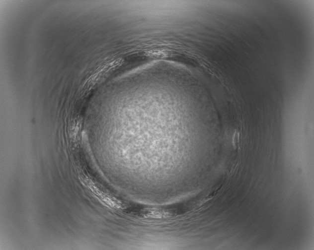 X0000085810601200703301527