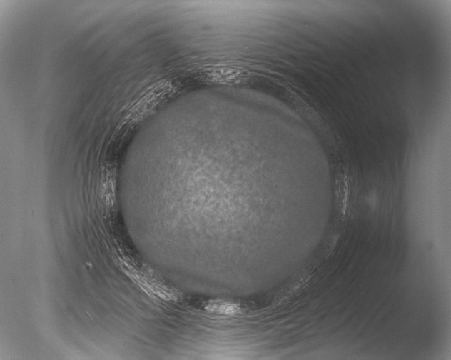 X0000085810602200703301527