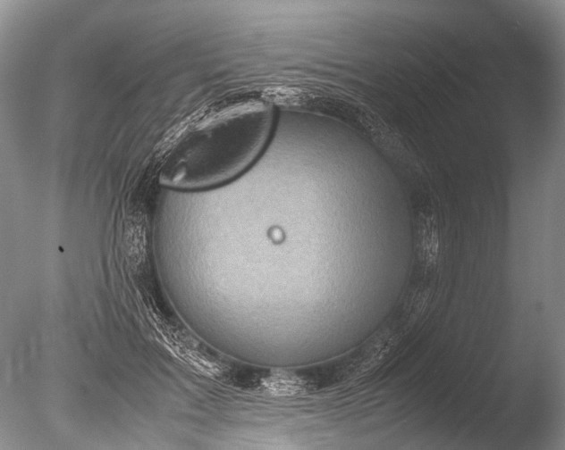 X0000085810603200703301527