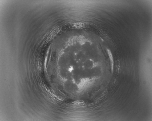 X0000085810606200703301527