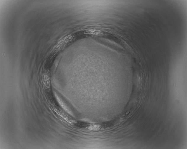 X0000085810609200703301527