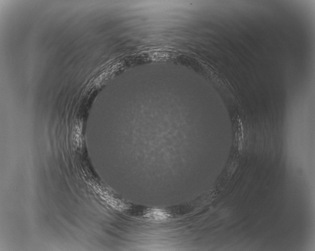 X0000085810610200703301527