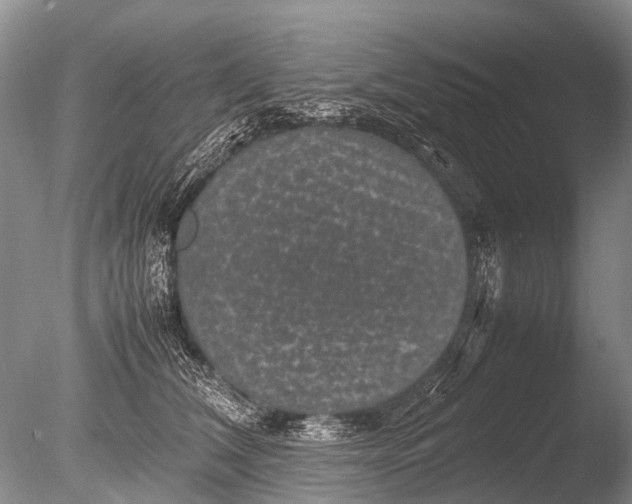 X0000085810612200703301527