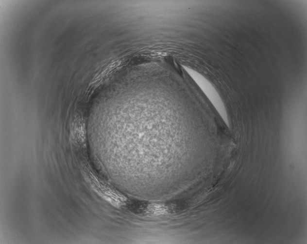 X0000085810613200703301527