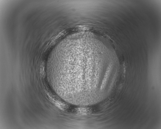 X0000085810615200703301527