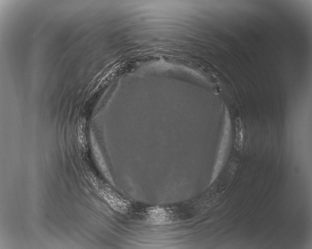 X0000085810616200703301527