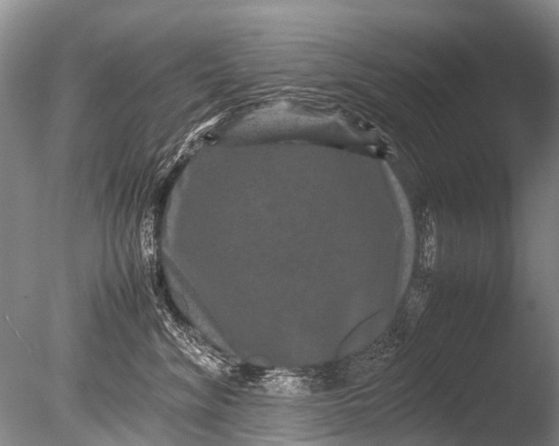 X0000085810620200703301527