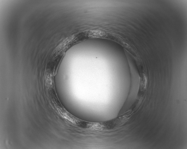 X0000085810621200703301527