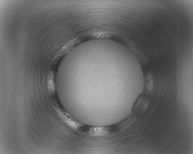 X0000085810622200703301527