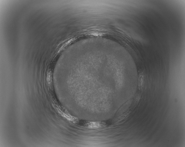 X0000085810623200703301527