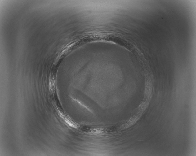 X0000085810624200703301527