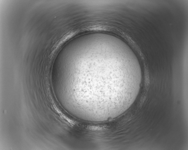 X0000085810625200703301526