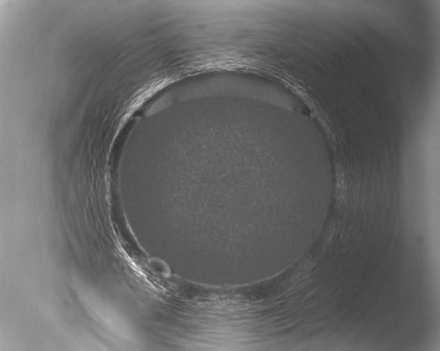 X0000085810626200703301526