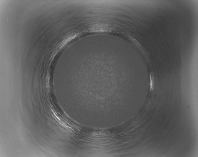 X0000085810627200703301526