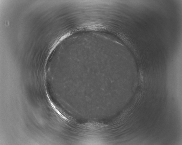 X0000085810630200703301526