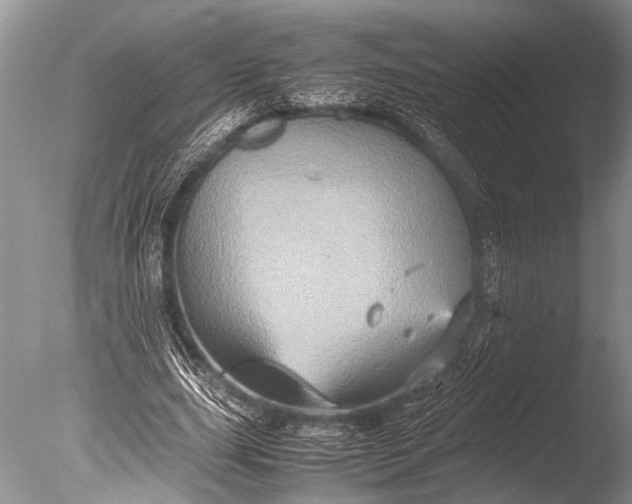 X0000085810631200703301526