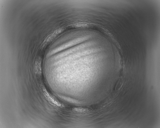 X0000085810633200703301526