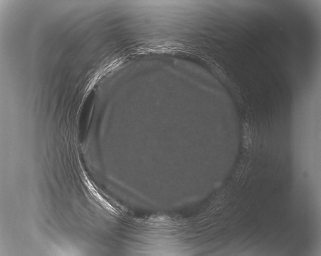 X0000085810634200703301526