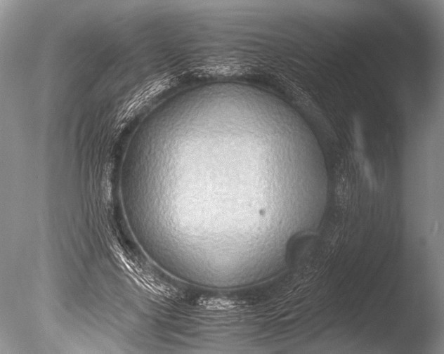 X0000085810635200703301526