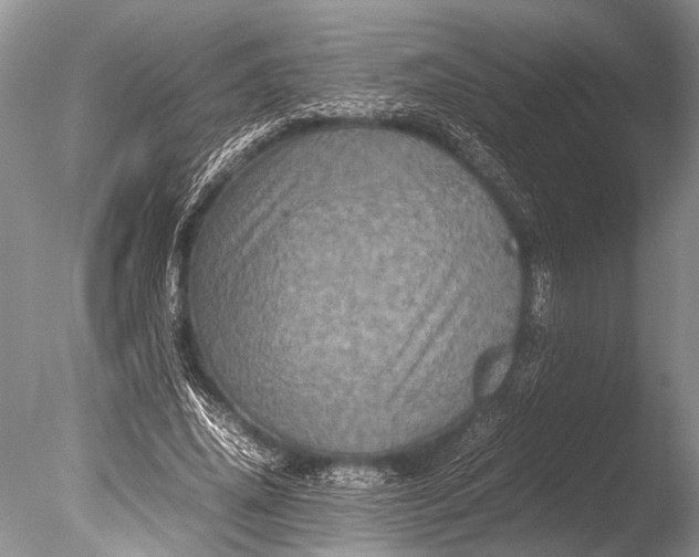 X0000085810636200703301526