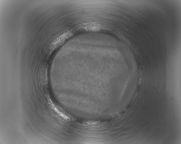 X0000085810638200703301526