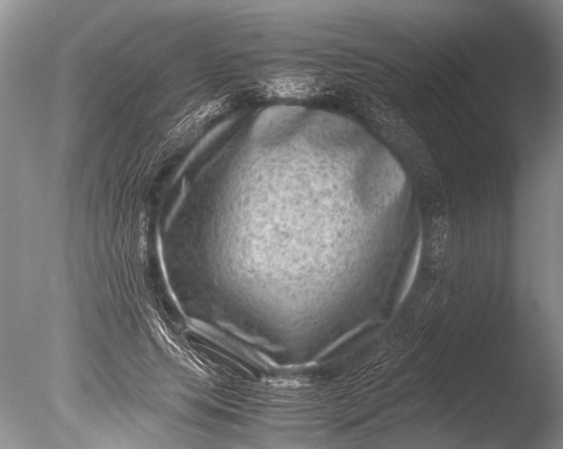 X0000085810639200703301526