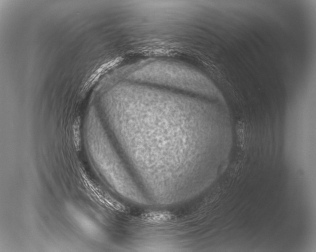 X0000085810642200703301526