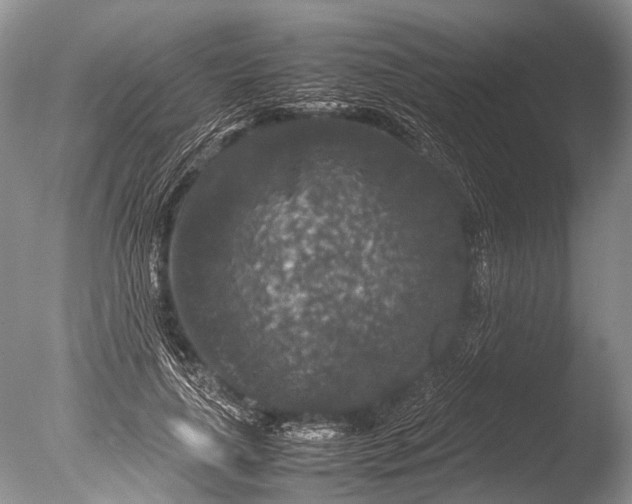 X0000085810643200703301526