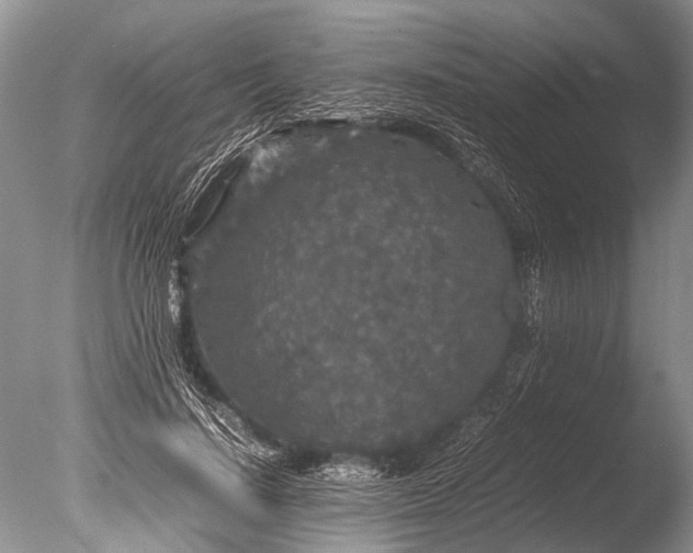 X0000085810644200703301526