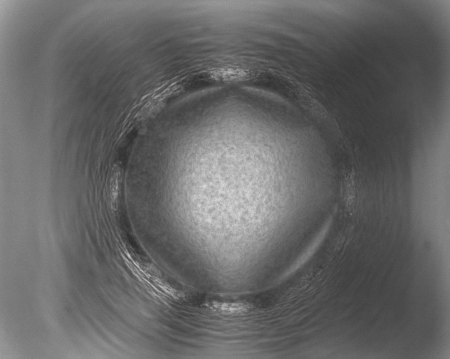 X0000085810645200703301526