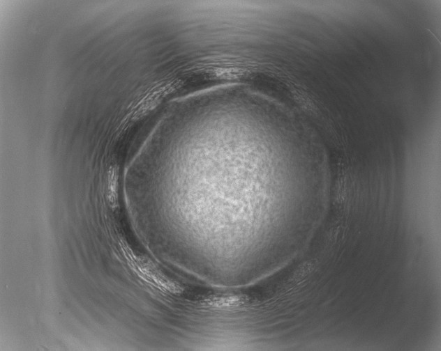 X0000085810646200703301526