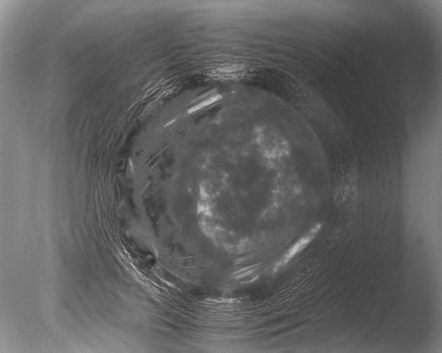 X0000085810647200703301526