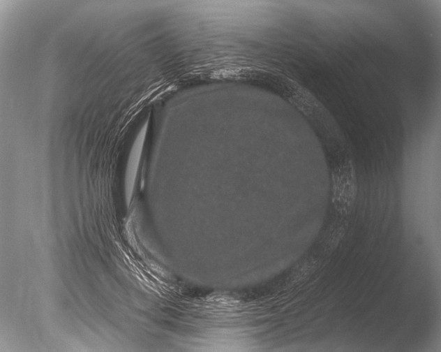 X0000085810648200703301526