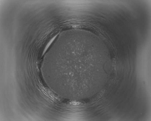 X0000085810650200703301526