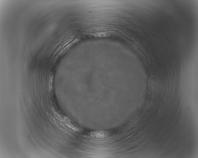 X0000085810652200703301526