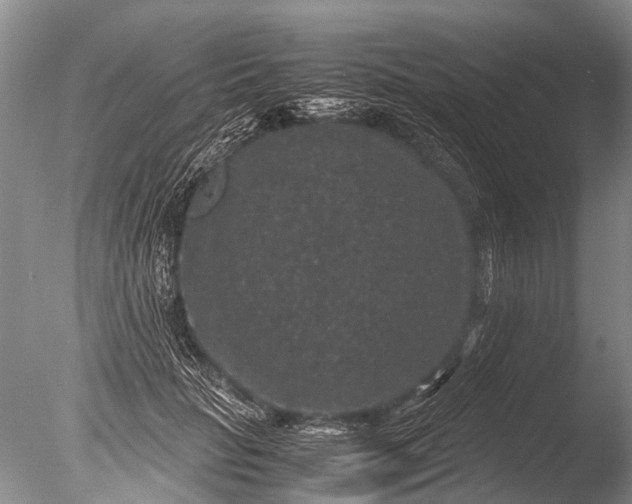 X0000085810653200703301526