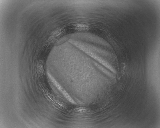 X0000085810655200703301526