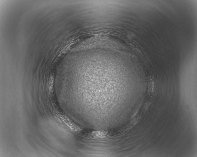 X0000085810660200703301526