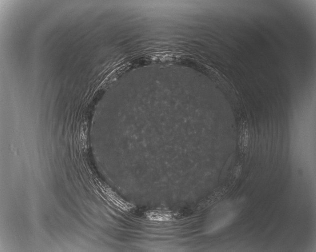 X0000085810661200703301526