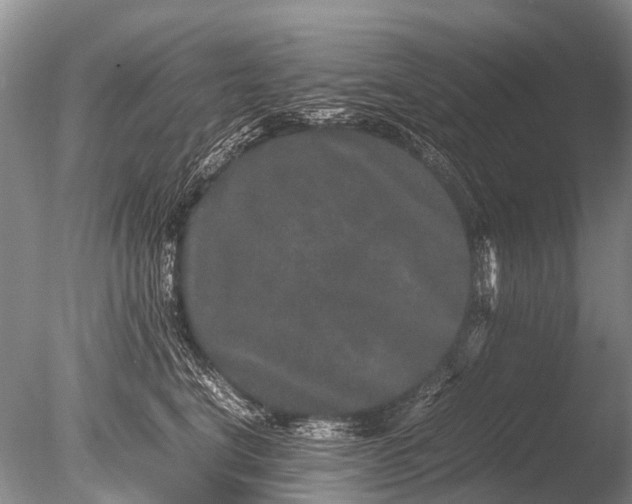 X0000085810664200703301526