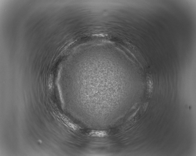 X0000085810665200703301527