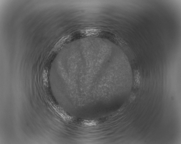 X0000085810667200703301527