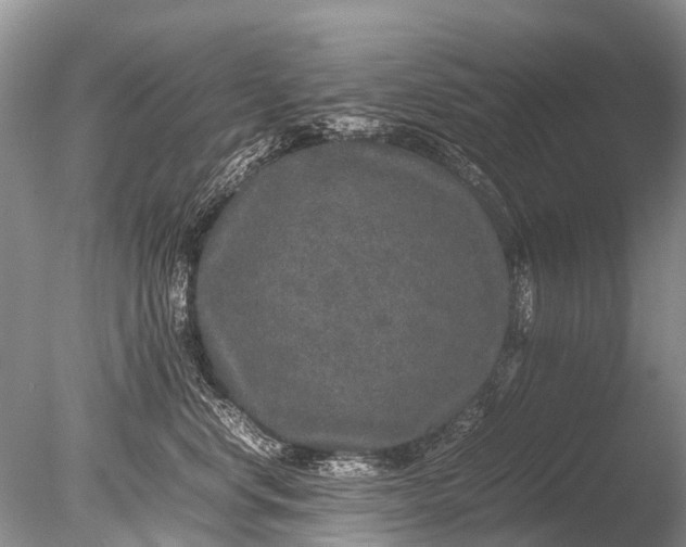 X0000085810668200703301527