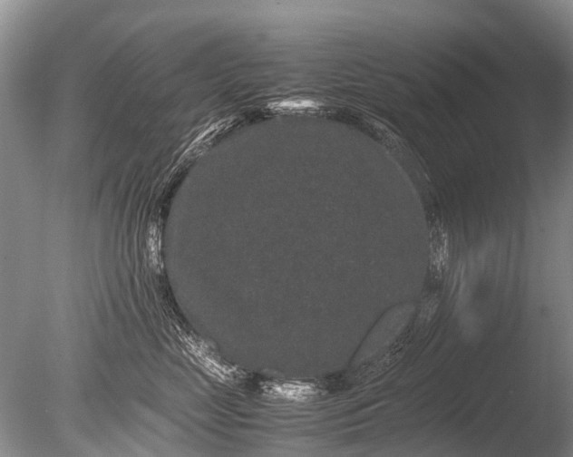 X0000085810669200703301527