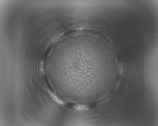 X0000085810670200703301527