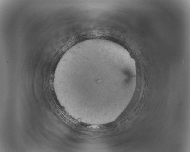 X0000085810672200703301527